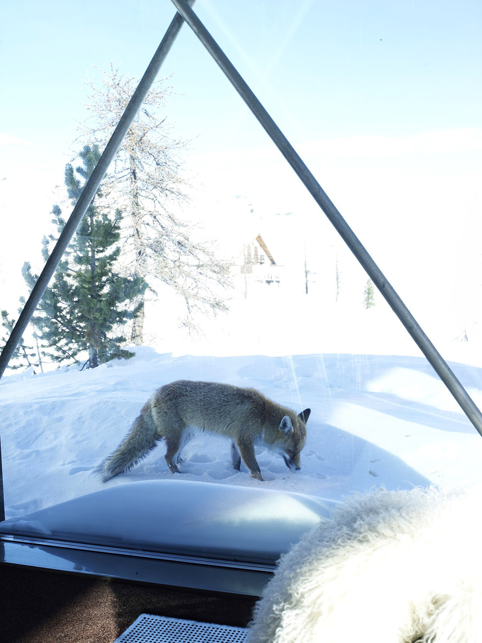 vikendica-nove-generacije-7 vikendica-nove-generacije-7