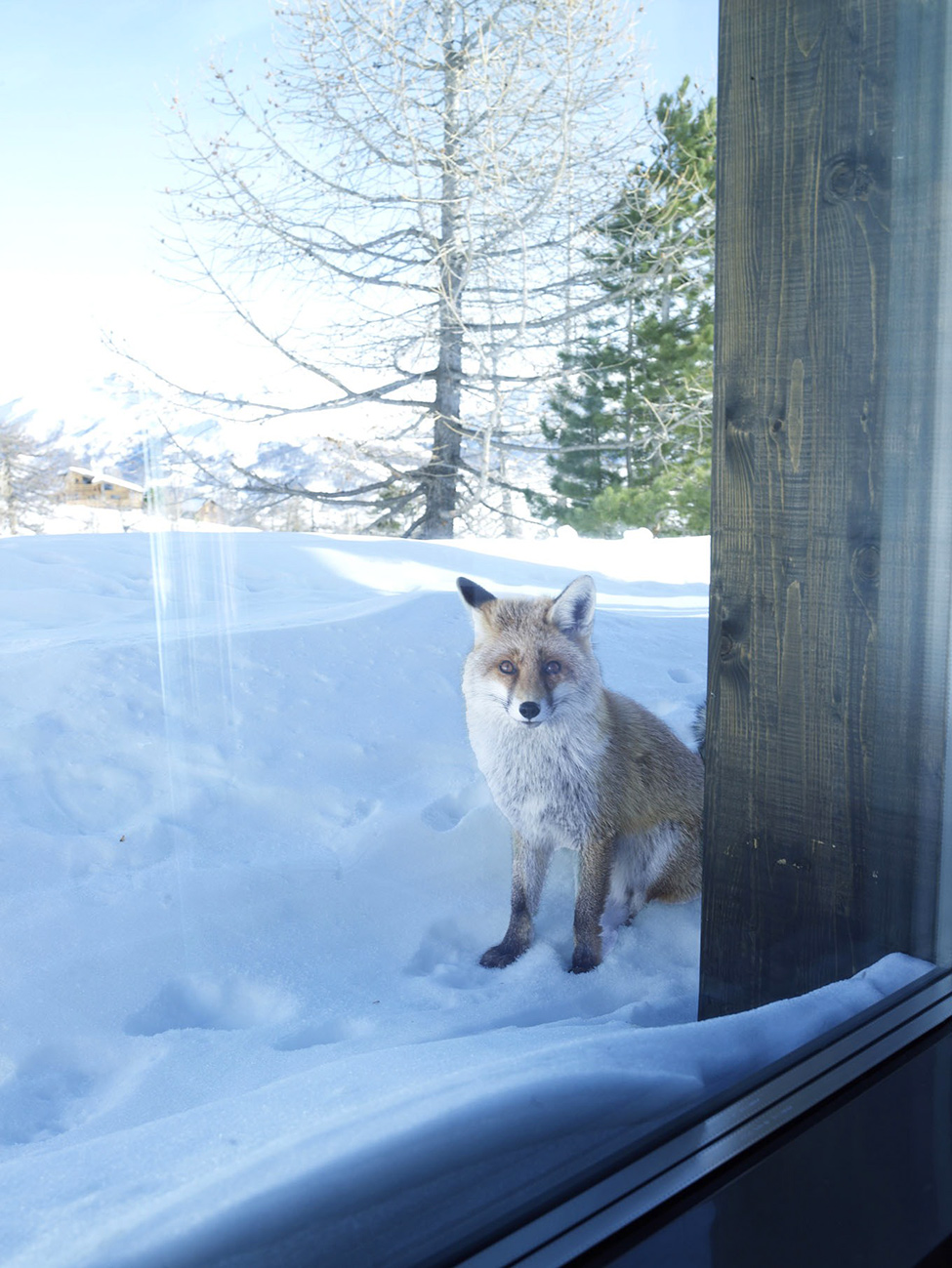 vikendica-nove-generacije-8 vikendica-nove-generacije-8