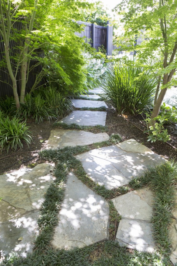 mali vrt u predgrađu melbournea 7