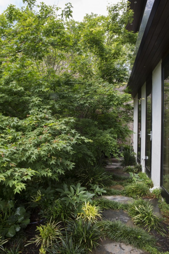 mali vrt u predgrađu melbournea 9