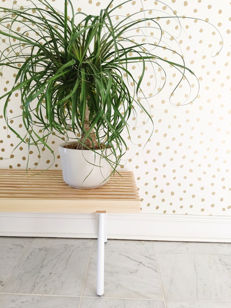 Preuređenje ulaznog hodnika