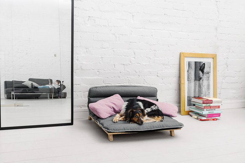 Neka i vaš pas spava na krevetu modernog dizajna