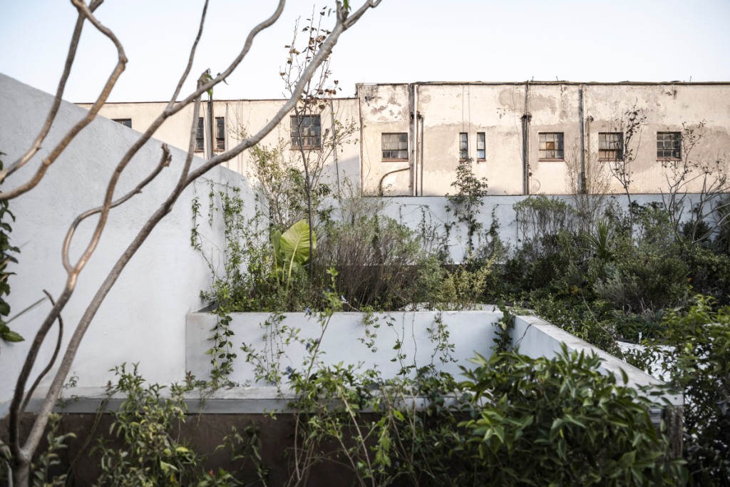 Kada nema mjesta za vrt iza kuće, ima ga na drugom katu