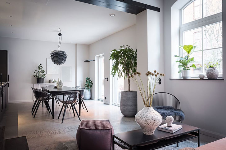 Cool stan u prizemlju