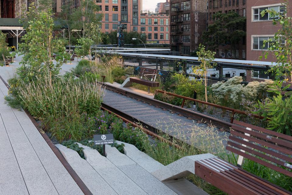 Visoka zelena linija