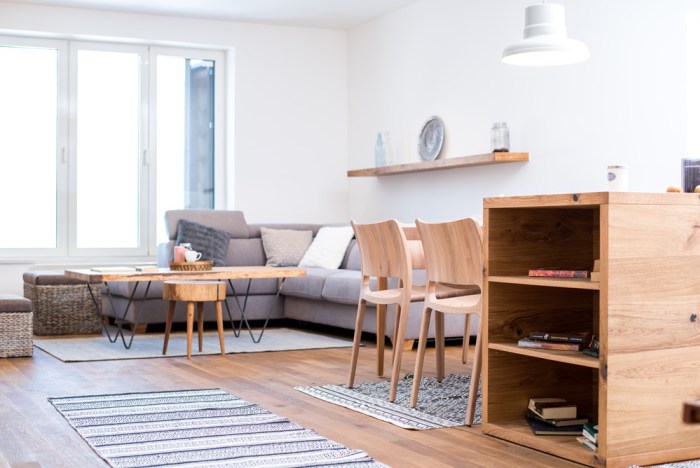 Skandinavski interijer sa pogledom na Bjelašnicu