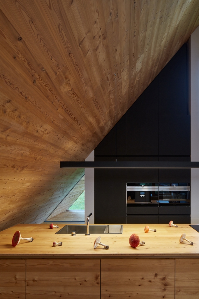 Vikend kuća by Pavel Míček Architects