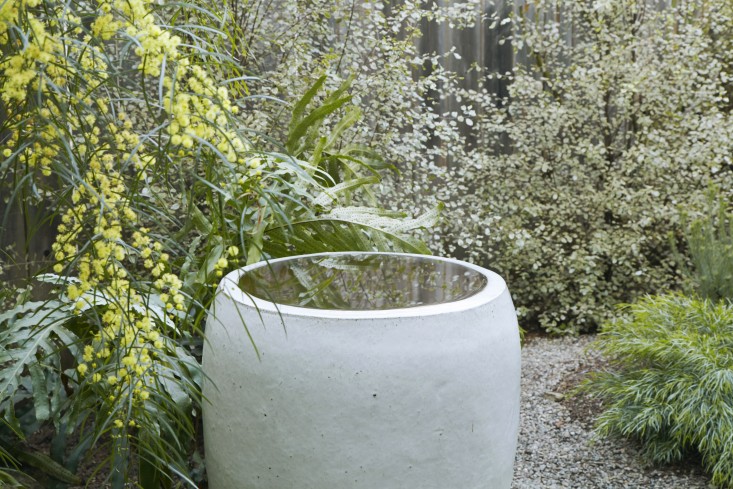 U vrtu krajobrazne arhitektice Flore Grubb