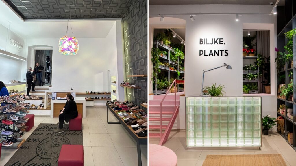Biljke.Plants zeleni concept store s potpisom dizajnerskog studija 9HZ