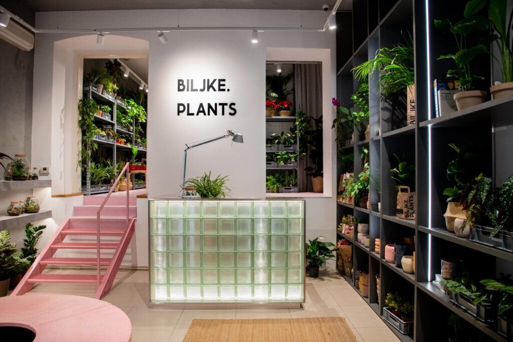 Biljke.Plants zeleni concept store s potpisom dizajnerskog studija 9HZ