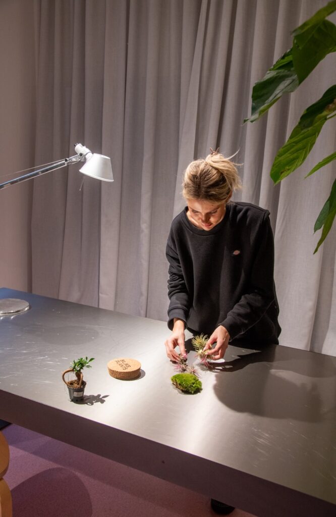 Biljke.Plants zeleni concept store s potpisom dizajnerskog studija 9HZ