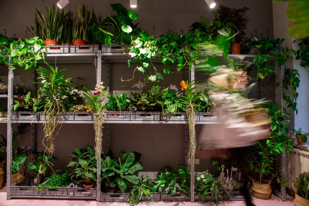 Biljke.Plants zeleni concept store s potpisom dizajnerskog studija 9HZ